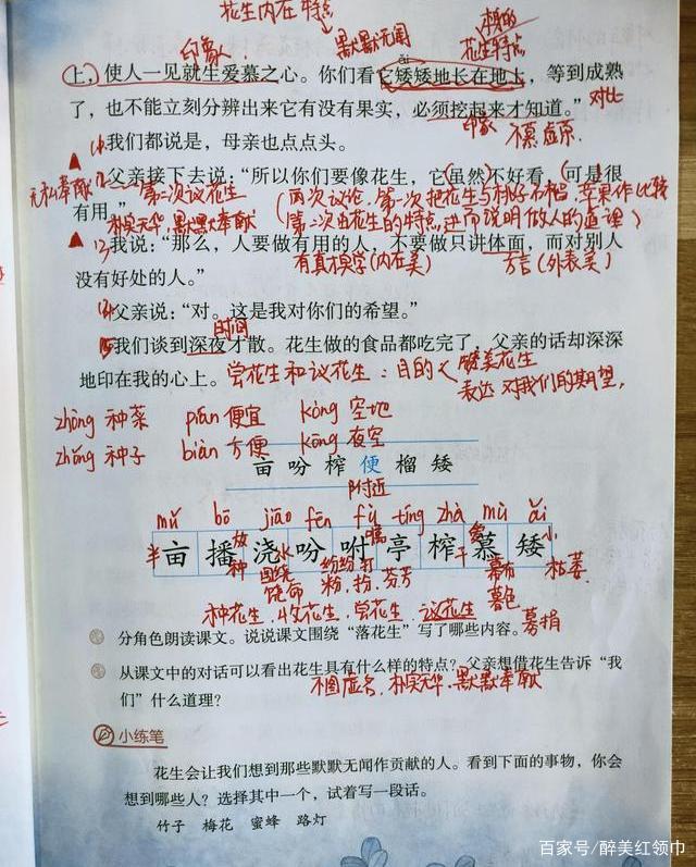 职评、赛教说课模板，以五年级《落花生》为例，帮你成为说课高手插图33