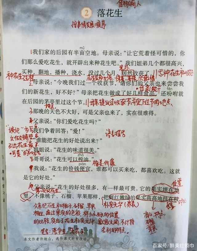 职评、赛教说课模板，以五年级《落花生》为例，帮你成为说课高手插图22