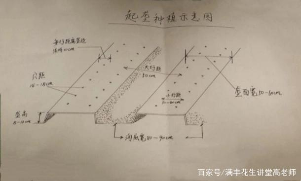 种植花生产量低，看看问题出在哪里插图11