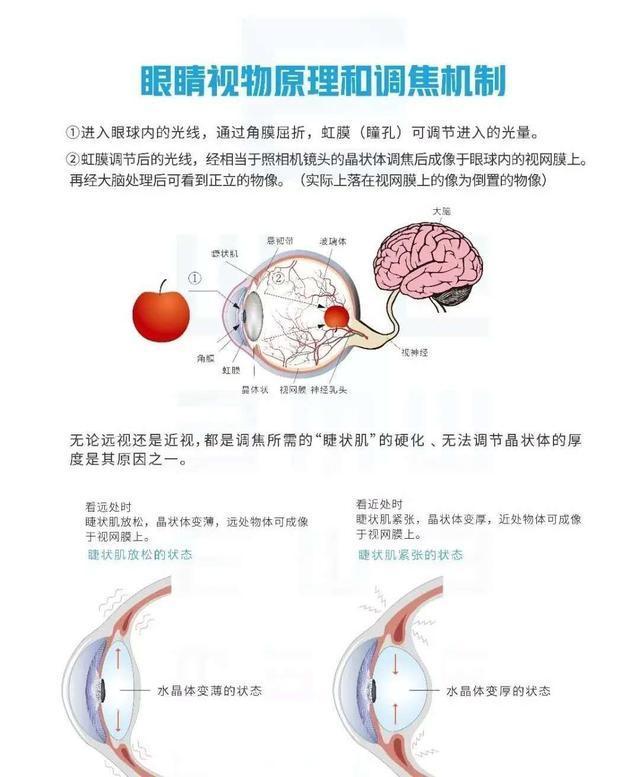 眼波护眼仪：当生活遇上科技插图44