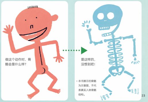 2-6岁身体认知关键期，给孩子读这套绘本！学会保护自己，培养好习惯插图2424