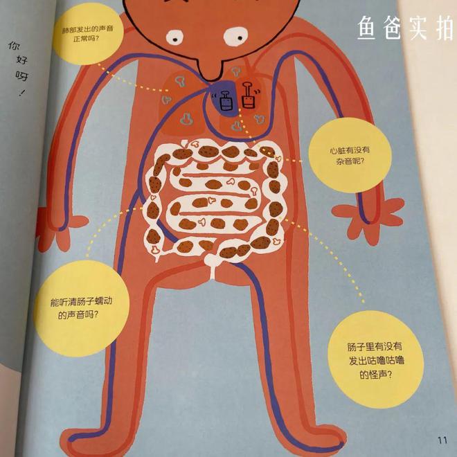 2-6岁身体认知关键期，给孩子读这套绘本！学会保护自己，培养好习惯插图4545