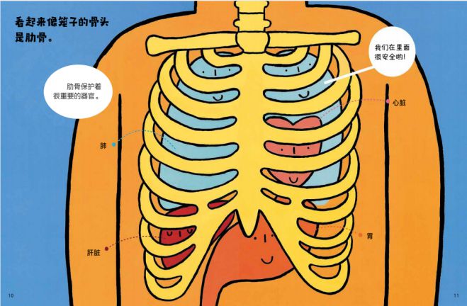 2-6岁身体认知关键期，给孩子读这套绘本！学会保护自己，培养好习惯插图6262