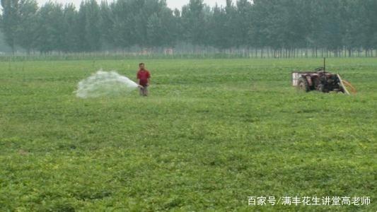 种植花生产量低，看看问题出在哪里插图22