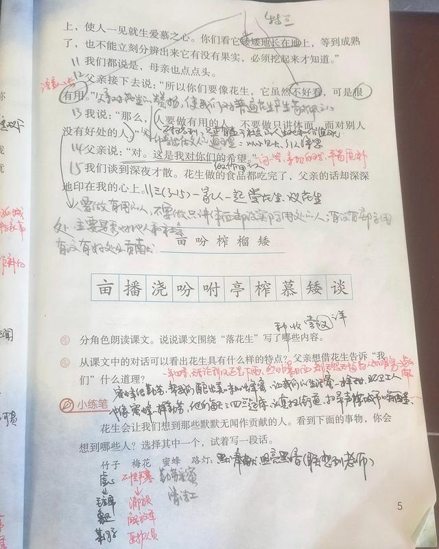 五年级上册语文《落花生》一课，既要学写法，也别忽视价值观教育插图22