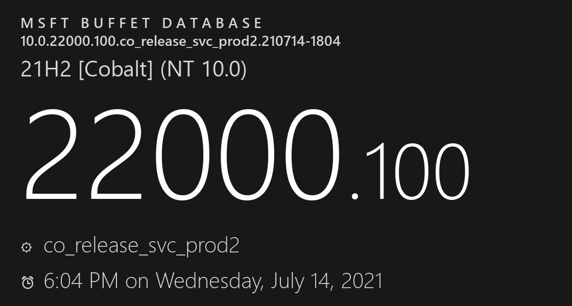 Win11 Dev 22000.100发布