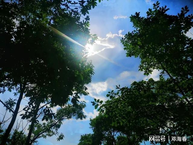 炎炎夏日，来看看古人都有哪些消暑清凉小妙招插图