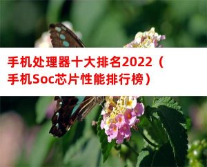 手机处理器十大排名2022（手机Soc芯片性能排行榜）-哈喽生活网