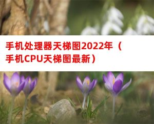 手机处理器天梯图2022年（手机CPU天梯图最新）-哈喽生活网