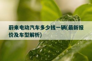 蔚来电动汽车多少钱一辆，最新报价及车型解析-哈喽生活网