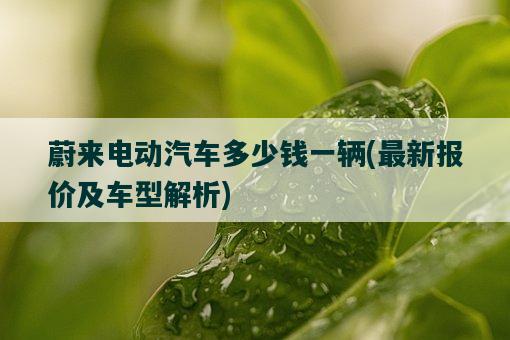 蔚来电动汽车多少钱一辆，最新报价及车型解析-图1