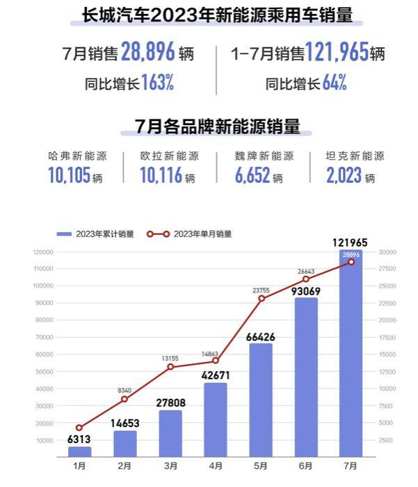 国产十大新能源品牌7月销量：比亚迪再创新高，蔚来首破2万大关！插图66