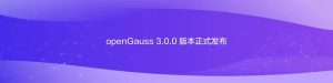 openGauss 3.0.0版本正式发布，立即体验社区首个轻量版本-哈喽生活网