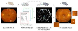 开源代码：轻量级医学可解释性＋真实病灶数据增强-哈喽生活网